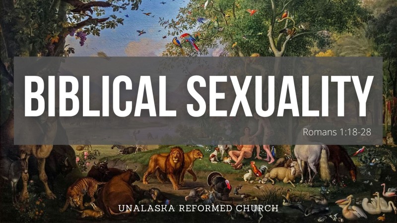 Biblical Sexuality